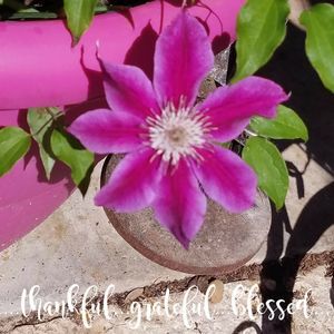 Meet your Posher, Regina